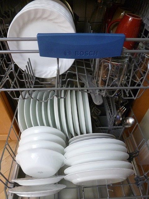 Professional Dishwasher